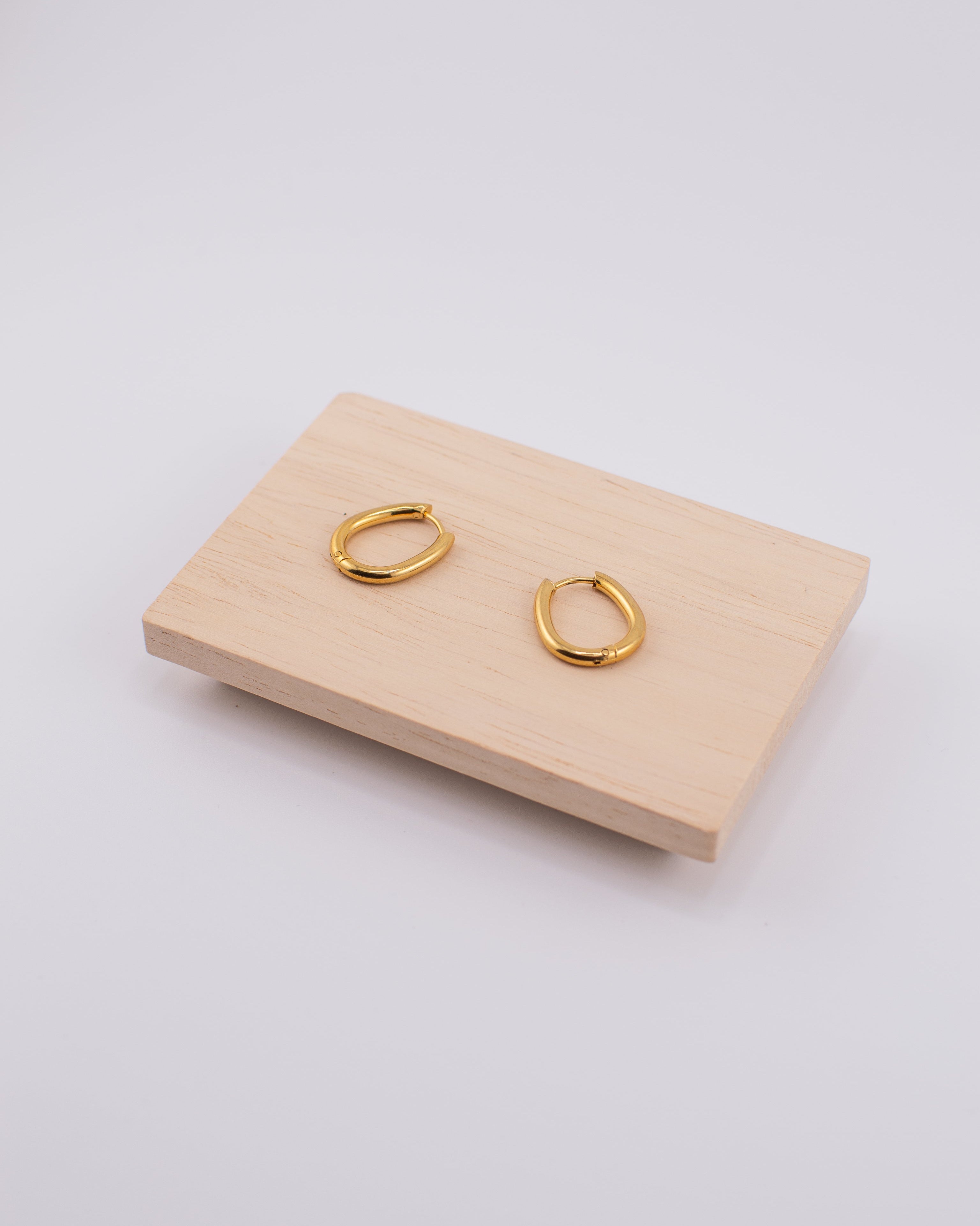 Lunelle Gold-plated Stainless Steel Earrings