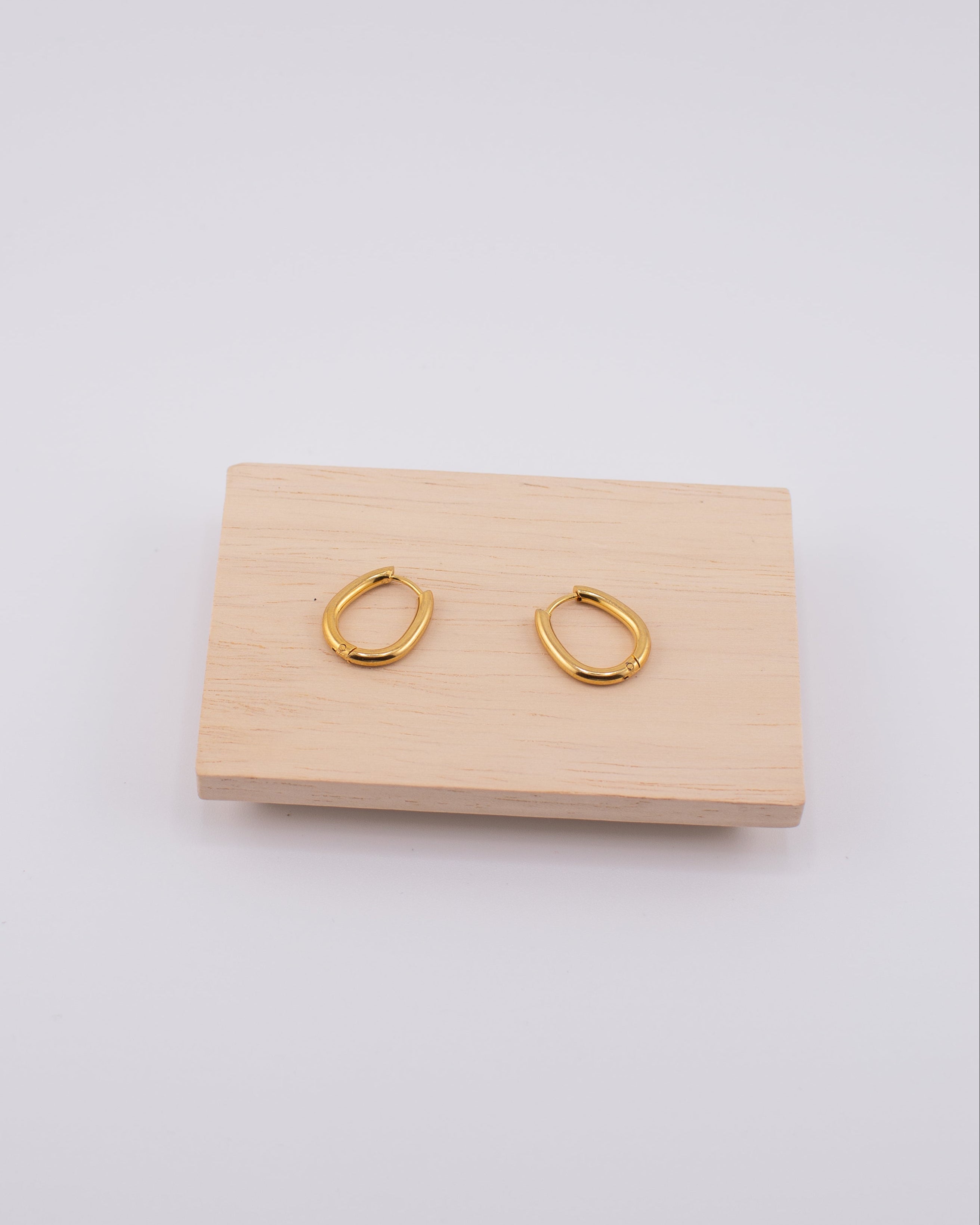 Lunelle Gold-plated Stainless Steel Earrings
